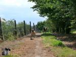 1-gonitwa-kaji-i-azuryjpg-6030_150x0