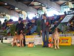 1-leszno-championow-ii-dosk-fot-j-malinowska-3602_150x0