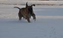 1-szybko-wracamy-do-formy-po-porodzie-4989_128x128
