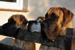 11-babcia-i-wnuczeta-7548_150x0