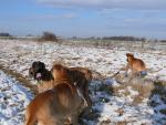 17-lepiej-sie-stad-zmywacjpg-3222_150x0