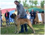 18-zgierz-euddc-dosk-fot-visconti-3619_150x0