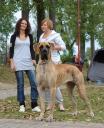 2-balda-fot-b-hajbos-3394_128x128