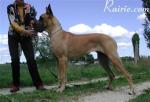 2-ragazza-854_150x0