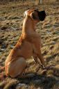 20120129-0-grzecznie-slucham-1958_128x128