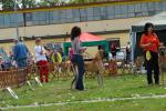 22-bal-de-feu-fot-b-hajbosjpg-3390_150x0