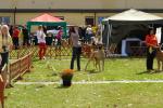 23-bal-de-feu-fot-b-hajbosjpg-3391_150x0