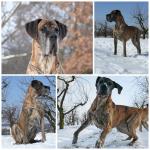 26-marzec-2013-tosia-ma-5-lat-fot-j-malinowska-3566_150x0