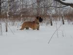 28-kwiecien-2013-fot-m-pawlak-3568_150x0