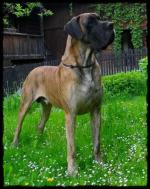 32-maj-2013-aljosha-3787_150x0