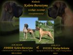 33-krycie-3788_150x0