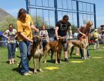 4-opole-2012-i-dosk-zwyc-cwc-fot-b-hajbos-3475_150x0