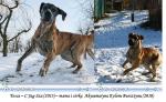 45-tosca-i-maryna-bez-ram-5135_150x0