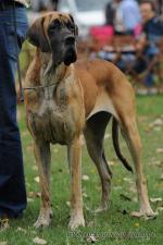 5-amber-fot-lenka-klobasova-do-dol-3158_150x0