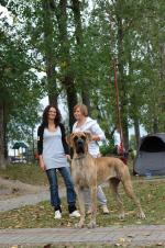 5-balda-fot-b-hajbosjpg-3396_150x0