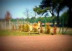 51-konik-marzec-2014-5458_150x0