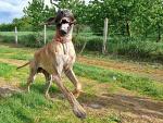 57-maj-2014-szalony-coraljpg-5707_150x0
