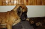61-czerwiec-2014-zafrasowana-mama-5891_150x0