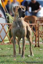 8-do-dol-lenka-klobasova-3376_150x0