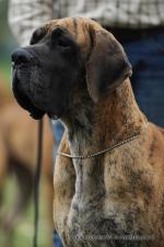 8-zgierz-klubowa-2012-iv-dosk-fot-l-klobasova-3479_150x0