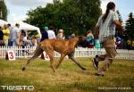 Dsc08406ajpg-5843_150x0